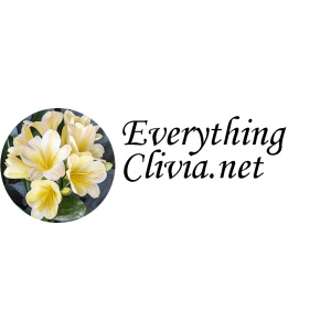 Everything Clivia